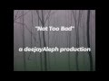 deejayAleph - &quot;Not Too Bad&quot;