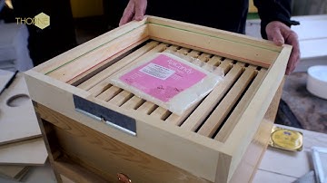 Thorne Beehives - how to use our Adapta Eke