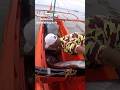 pagdiskarga Ng dalawang malalaking isda#short#viral short