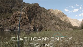 Worth the Work  Backpacking in and Fly Fishing the Gunnison in the Black Canyon  July 2023