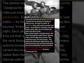 40 Soviet Women Flew Crop Dusters Into Nazi Territ