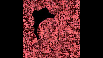 flashing recursive growth pattern  | Touchdesigner