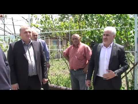 სეტყვამ გორში 12 სოფელი დააზარალა