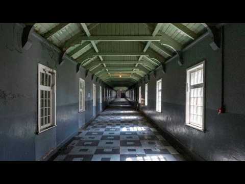 Madra Salach - Ribbon Factory