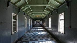 Ribbon Factory - Madra Salach