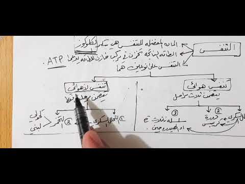 الايض الخلوي م١٨ التنفس التحلل السكري