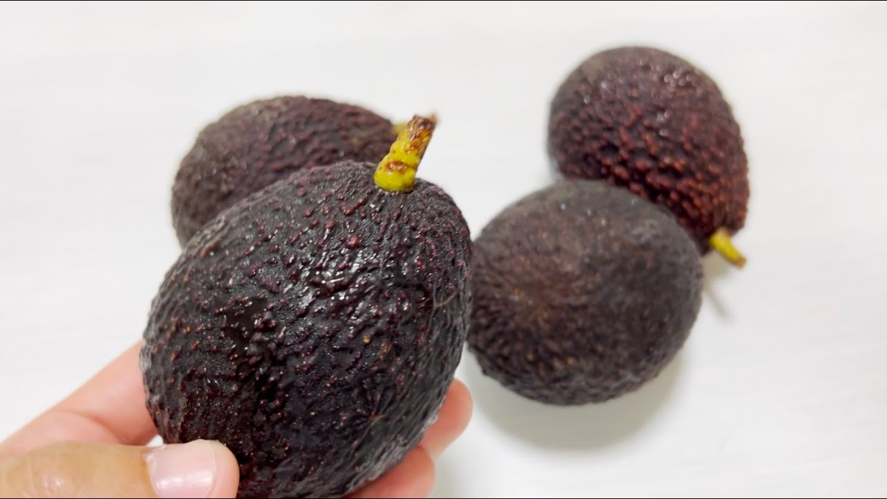 Avocado growers choose 