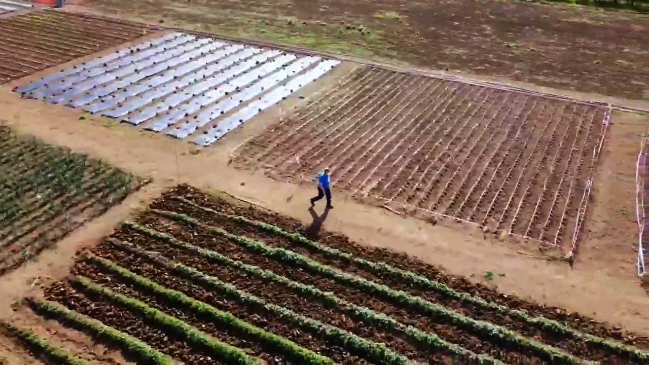 Tour AGRARIA con drone