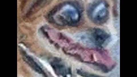 .Community management - Setting up game dev discord category - Bots - Music Category Gaming Game