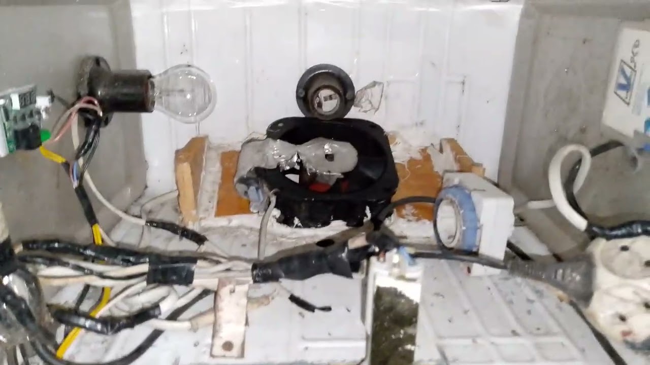 Инкубатор с холодильника. Оживил старичка.