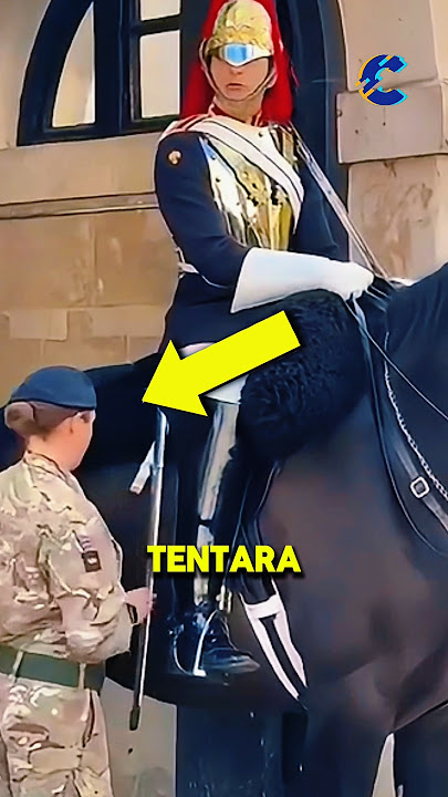 Tentara Ini Terlihat Biasa Saja Saat Memegang Kuda Penjaga Kerajaan ⁉️