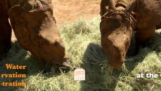 Full Water in the Landscape News