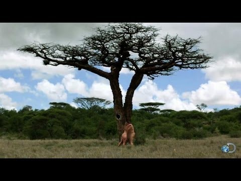 Naked Introductions: The Mash-Up | Naked and Afraid