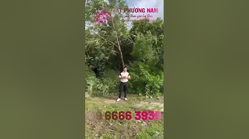 Tuyến đường nằm trong dự án Cao Tốc đang rất HOT tại Sóc Trăng - 09 6666 3939