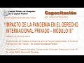 Videoconferencia: &quot;Impacto de la pandemia en el Derecho Internacional Privado - Módulo III&quot;