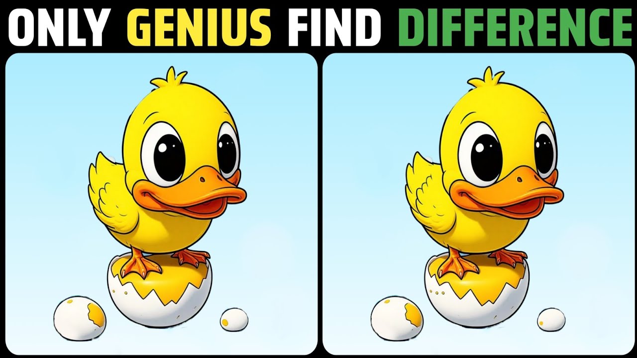 Only 2% Genius Can Find The 3 Differences 🥸 - YouTube