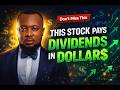 Earn Dollars in Nigeria: 3 US Stocks with High Dividends (No US Bank Account Needed)