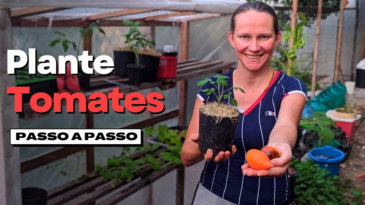 Como plantar tomate no Quintal - Passo a Passo I Guia Completo para o Cultivo de Tomates - Parte 1
