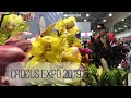 Crocus Expo 2019 | Выставка для флористов и не только