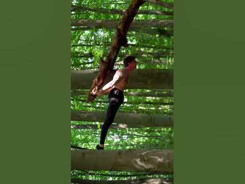 Йога це не тільки розтяжка, у йозі є ще калістеника та сила - YouTube