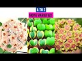 Hoya Varieties A to Z Hoya Varieties A to Z