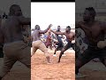 Bahagon Ali Kawoji Ya Sumar Da Sarki Ali Kanin Bello 