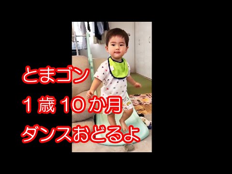 とまゴン　生まれて1歳10ヶ月　ダンスをおどるよ
