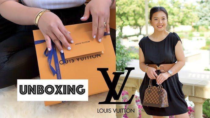 Louis Vuitton Alma BB Review, Damier Ebene, Wear and Tear, WFIMB, MOD  Shots