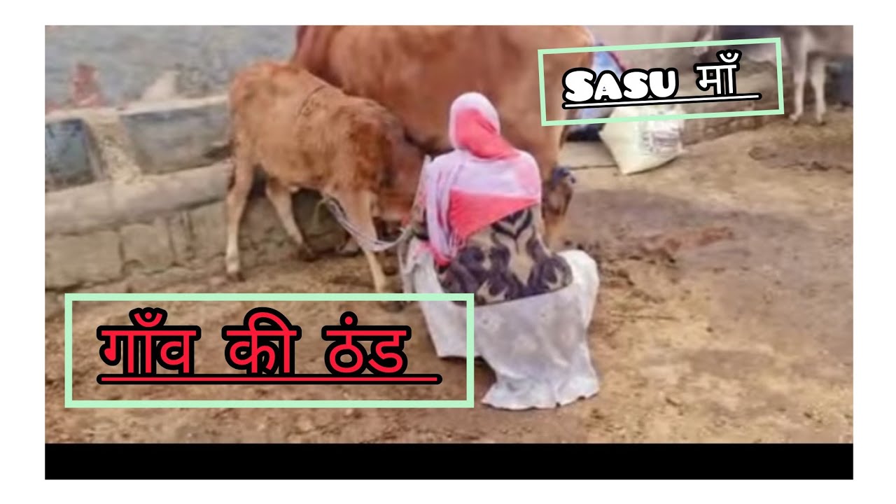 सुबह जल्दी का vlog और view कितना beautiful lag रहा है/ गाँव vlogging 