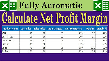 Calculate Net Profit Margin in Excel by learning center in Urdu/hindi