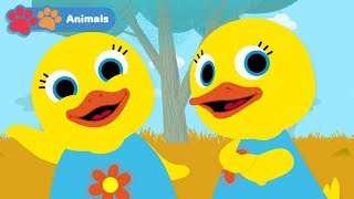 Learn Animals With Tillie The Duck | Animal Names & Sounds | Early Learning Videos for Toddlers