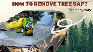 How to remove tree sap quick and easy