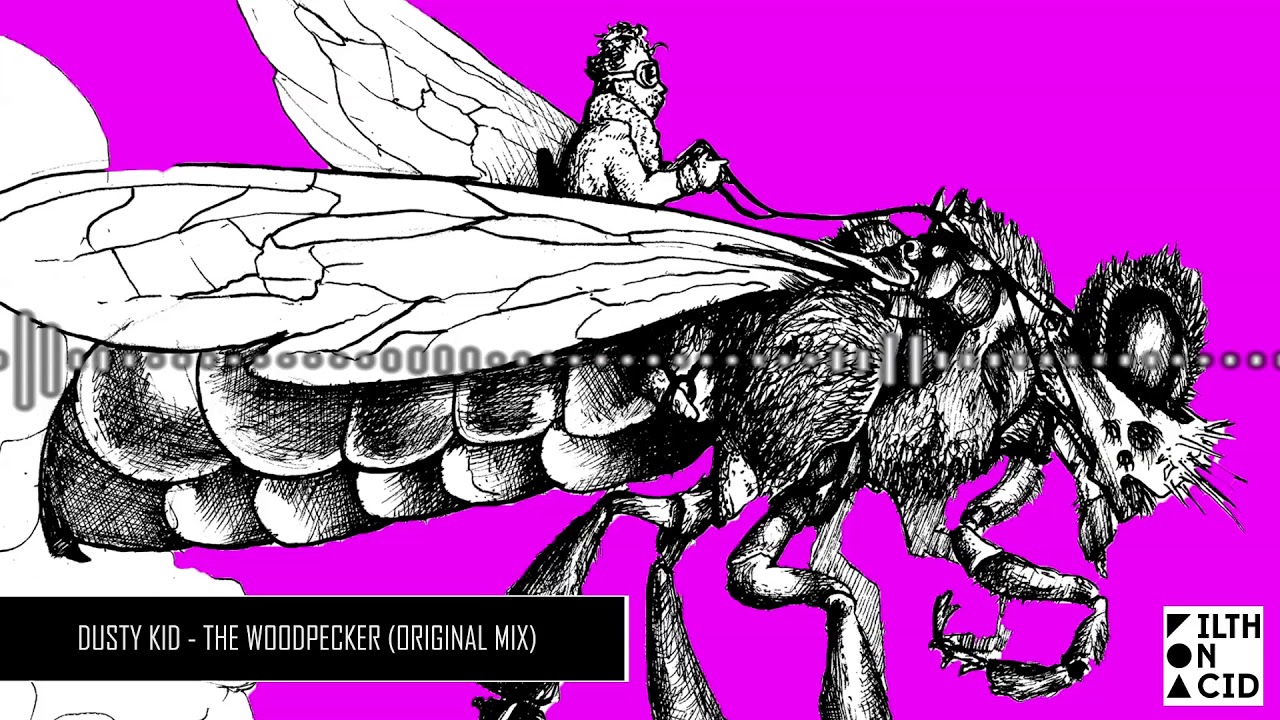 ⁣Dusty Kid - The Woodpecker (Original Mix)