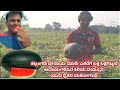 Watermelon Cultivation # ಕಲ್ಲಂಗಡಿ ಬೇಸಾಯ #🍉🍉🍉