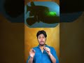 Magical Fish with a Transparent Head! #oceanmystery #shorts
