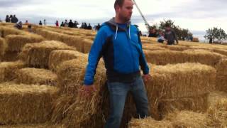 How I navigate a corn maze