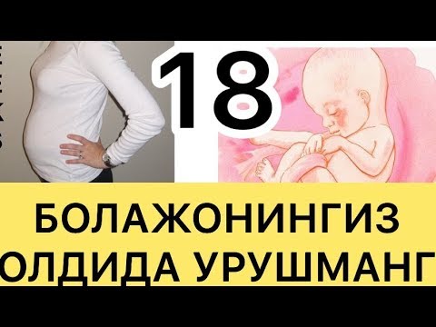 Video: Homiladorlikning 17 Xaftasi: Hislar, Homila Rivojlanishi
