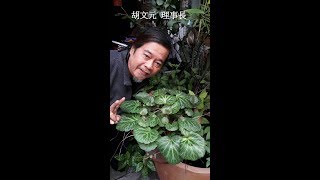 1070430《台灣亞健康》直播