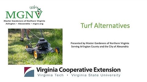 Turf Alternatives 2025