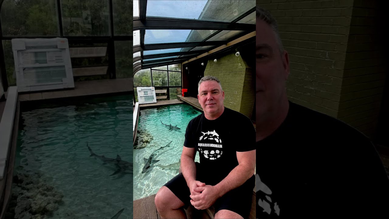 Indoor Marine Shark Pond Build Progress