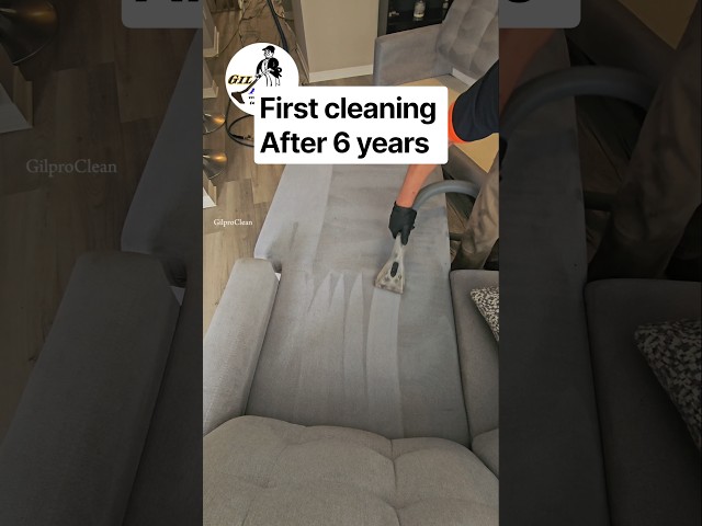 Sofa cleaning, water stain removal