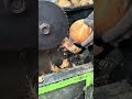 #coconutmachine
