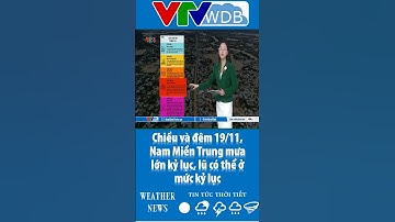 Chiều và đêm 19/11, Nam Miền Trung mưa lớn kỷ lục, lũ có thể ở mức kỷ lục | VTVWDB