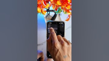 Quick iPhone Tip: How to Navigate Multiple Folders in Seconds! 📱🚀