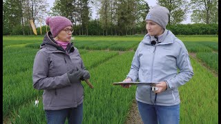 AGRONOMU BROKASTIS #29 Īpaša pieeja īpašiem laikapstākļiem 16.05.24