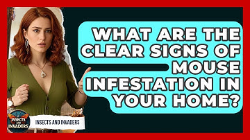 What Are The Clear Signs Of Mouse Infestation In Your Home? - Insects and Invaders