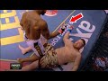 Most DISRESPECTFUL MMA Knockouts/Finishes Ever Seen...