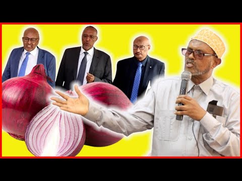 Axmed Yuusuf Yaasiin Oo Ka Deyriyey Heerka Aafada Qabyaaladdu Ka Marayso Somaliland