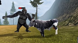 Mad Bull 🐂 V's Angry Black Gorilla 🦍 The Cow Animal Simulator Gameplay screenshot 3