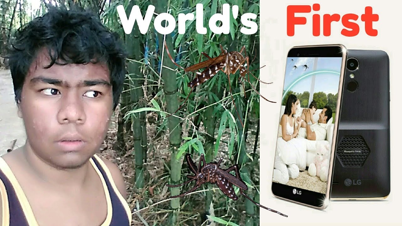 LG K7i Mosquito Repellent Phone Has Launched With 'Mosquito Away' Technology